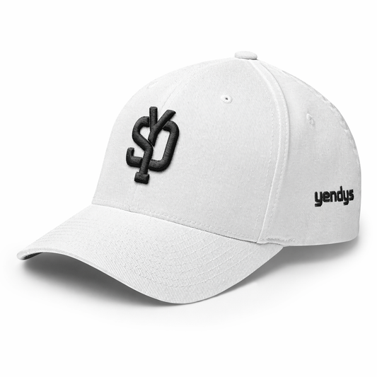 Mens SYD 3D Embroidered Closedback Flexfit Hat